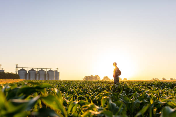 What Does The Word Farmer Mean In English